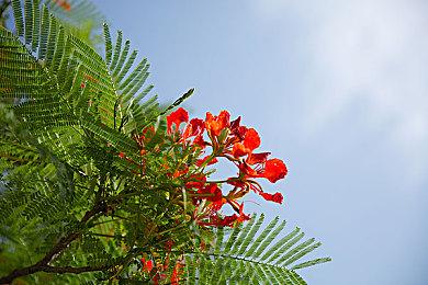 经典作品《桑塔》初代确认6月2日登陆PS4 & PS5主机